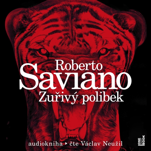Kniha OneHotBook Zuřivý polibek