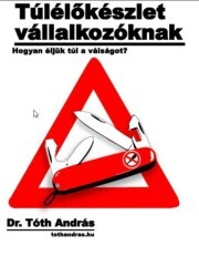 Kniha Túlélőkészlet vállalkozóknak - Máté Tóth András