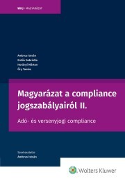 Kniha Magyarázat a compliance jogszabályairól II. - Ambrus István,Erdős Gabriella,Gábor Horányi,Őry Tamás