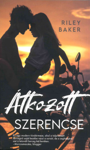 Kniha Átkozott szerencse - Riley Baker