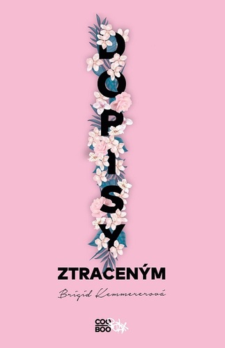 Kniha Dopisy ztraceným - Brigid Kemmerer