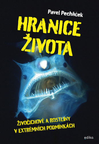 Kniha Hranice života - Pavel Pecháček