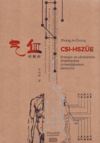CSI-HSZÜE - Energia- és véráramlás értelmezése a meridiánokon keresztül