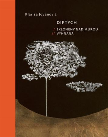 Kniha Diptych