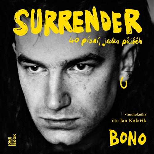 OneHotBook Surrender: 40 písní, jeden příběh