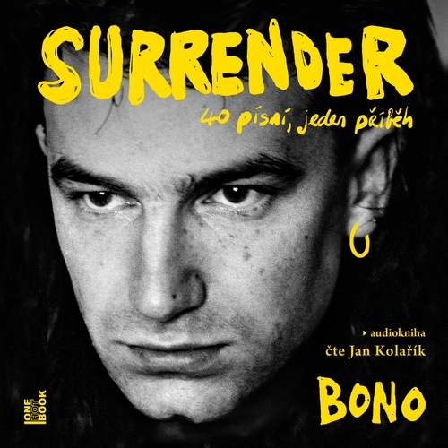Kniha OneHotBook Surrender: 40 písní, jeden příběh