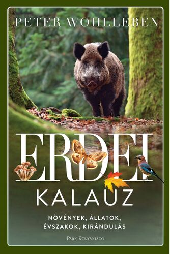 Kniha Erdei kalauz - Peter Wohlleben