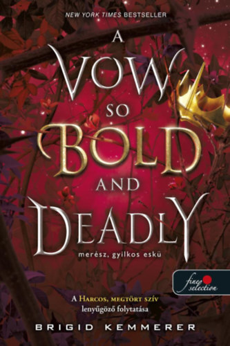 Kniha A Vow So Bold and Deadly - Merész, gyilkos eskü - Brigid Kemmerer