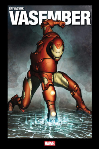 Kniha Én vagyok Vasember - Lee Stan