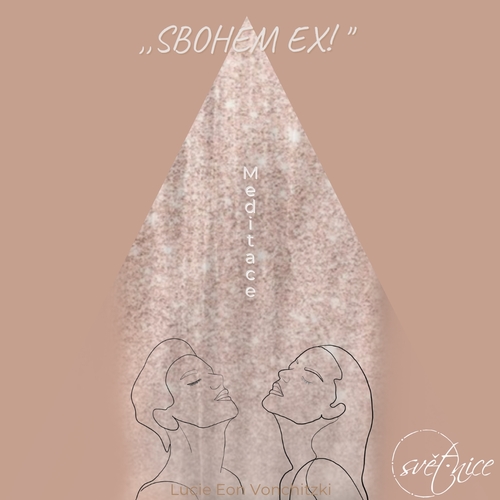 Sbohem ex