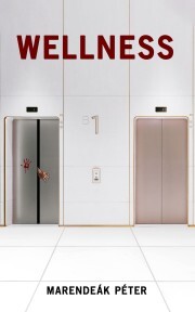 Kniha Wellnes - Marendeák Péter