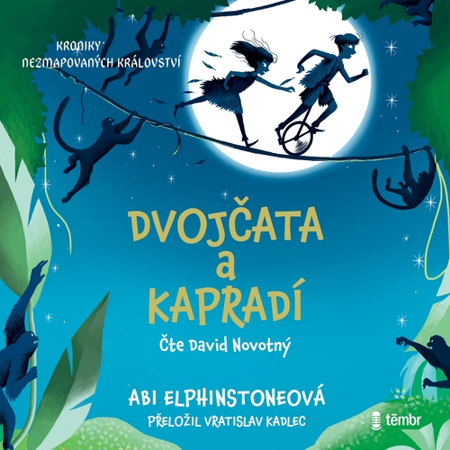 Kniha Témbr Dvojčata a kapradí