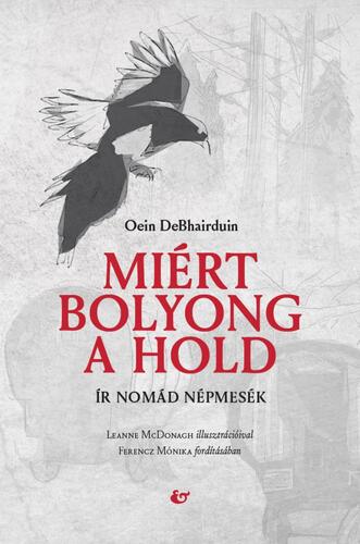 Kniha Miért bolyong a hold - Oein DeBhairduin