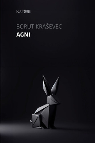 Kniha Agni - Borut Kraševec