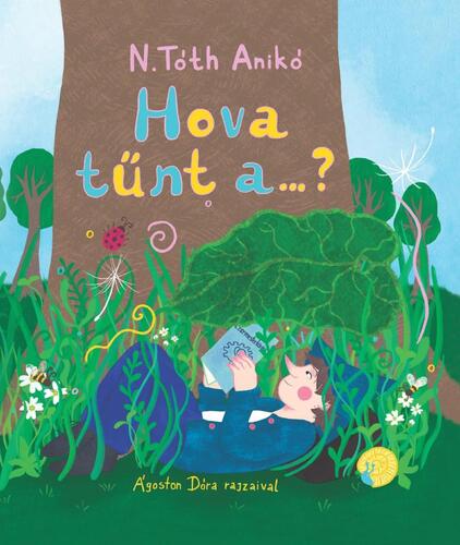 Kniha Hova tűnt a...? - Anikó N.Tóth