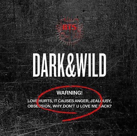 Kniha BTS - Dark & Wild CD