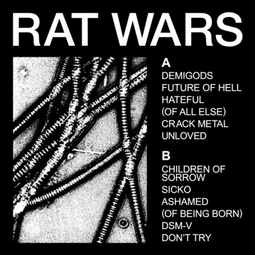 Kniha Health - Rat Wars CD