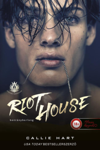 Kniha Riot House - Botránybarlang (Angyali ördögök 1.) - Callie Hart