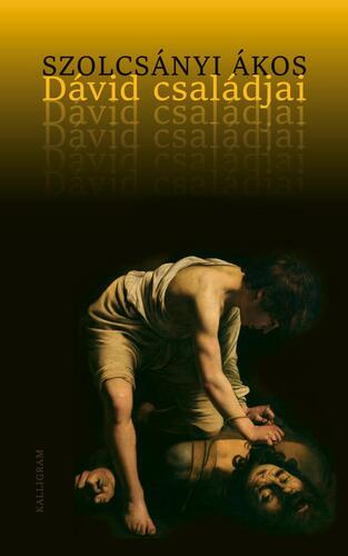 Dávid családjai - Ákos Szolcsányi