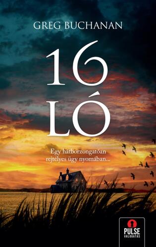 16 ló - Greg Buchanan