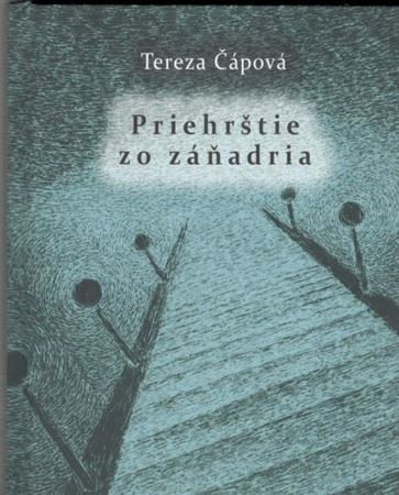 Priehrštie zo záňadria - Tereza Čápová,Peter Brunovský