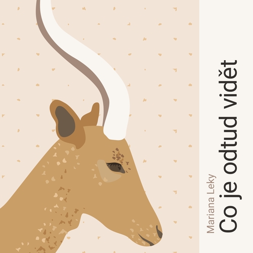 Kniha Tympanum Co je odtud vidět