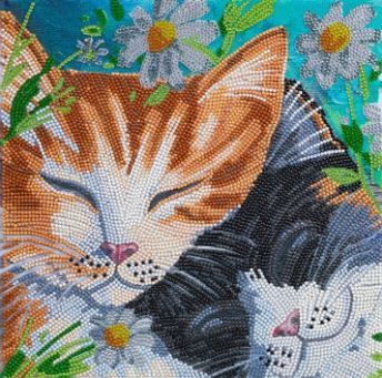 Obraz Ospalé mačky (30x30 cm) vykladanie z diamantov