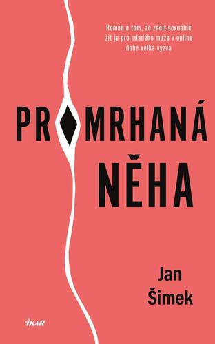 Kniha Promrhaná něha