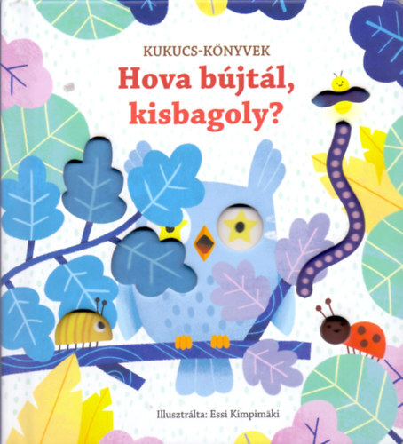 Kniha Hova bújtál, kisbagoly? - Sam Taplin