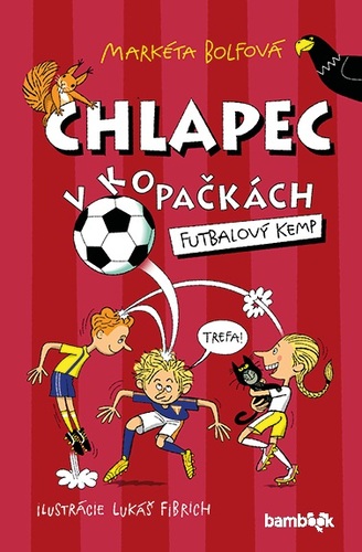 Kniha Chlapec v kopačkách Futbalový kemp