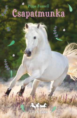 Kniha Tilly és Táltos - Csapatmunka - Pippa Funnell