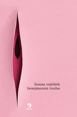 Kniha Bezejmenná touha