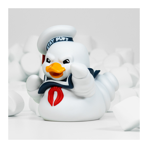 Kniha Tubbz kachnička Krotitelé duchů