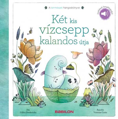 Kniha Két kis vízcsepp kalandos útja - A természet hangoskönyve - Gilles Diederichs,Orsolya Fenyvesi