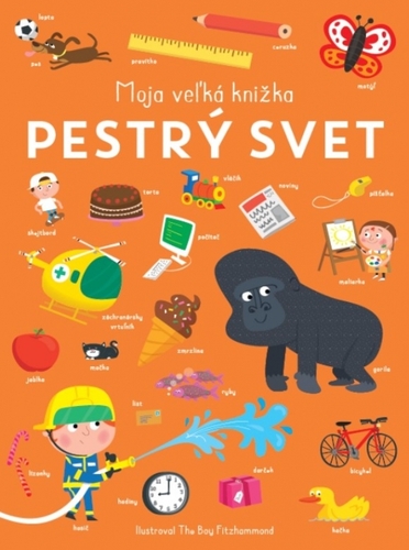 Kniha Pestrý svet - Moja veľká knižka
