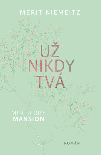 Kniha Už nikdy tvá - Merit Niemeitz