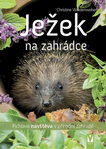 Kniha Ježek na zahrádce
