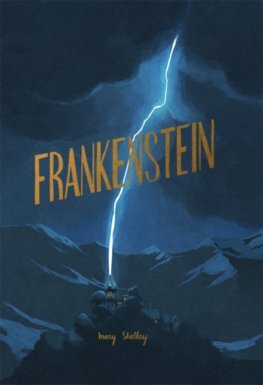 Frankenstein - Mary Shelley kúpite na Panta Rhei