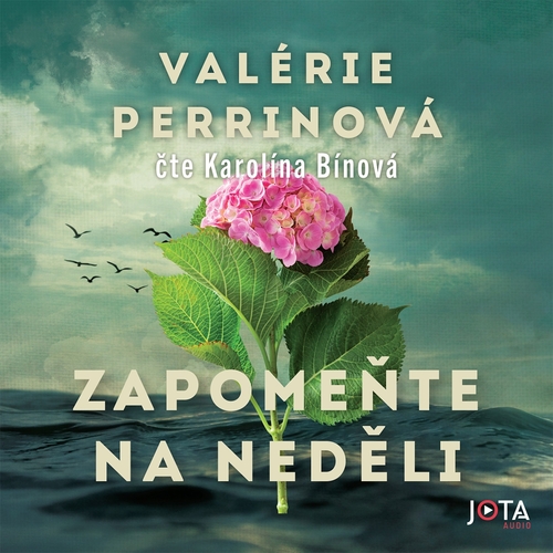 Kniha Jota Zapomeňte na neděli