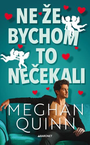 Kniha Ne že bychom to nečekali - Meghan Quinn
