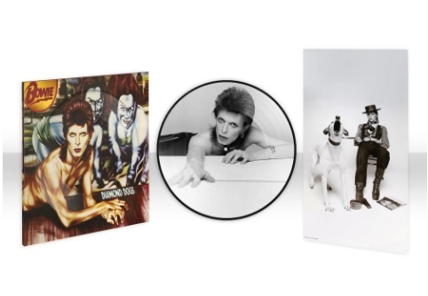 Kniha Bowie David - Diamond Dogs (Picture) LP
