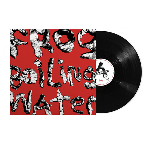 Kniha DIIV - Frog In Boiling Watter LP