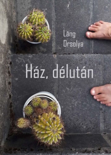 Kniha Ház, délután - Láng Orsolya