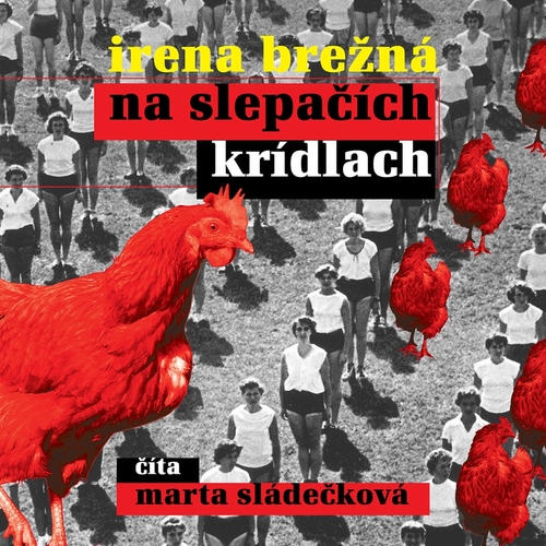 Kniha Wisteria Books a FPU Na slepačích krídlach