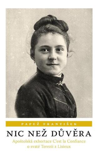 Kniha Nic než důvěra - František Papež