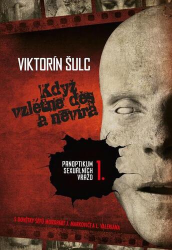 Kniha Když vzlétne děs a nevíra - Šulc Viktorín