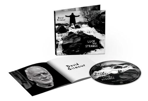 Gilmour David - Luck And Strange CD