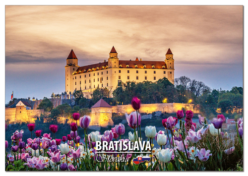 (A6) Pohľadnica A6 Bratislava k16 (tulipány)