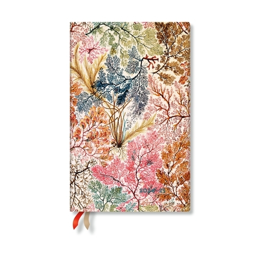 18 mesačný diár 2024/2025 Anemone Maxi VER Paperblanks