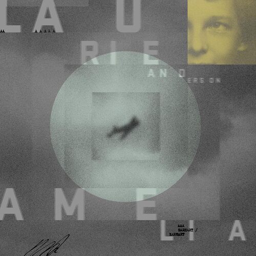 Anderson Laurie - Amelia LP